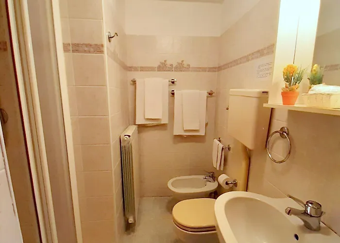 Central-- And - Alba Апартаменты *